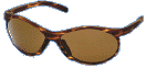actionoptics.gif (8398 bytes)